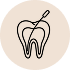 Root canal
